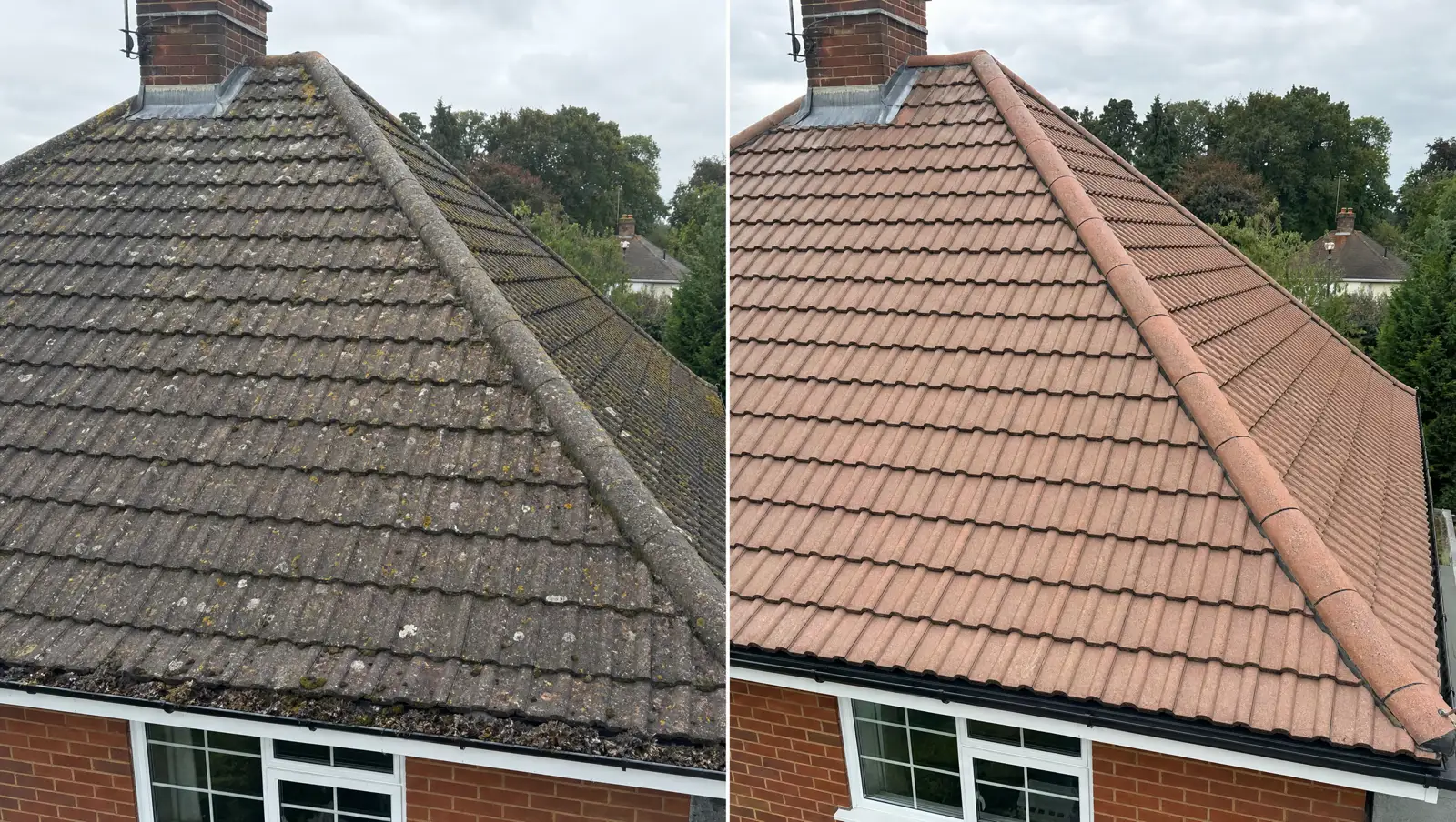 roof cleaning before and after showing moss removed from roof tiles