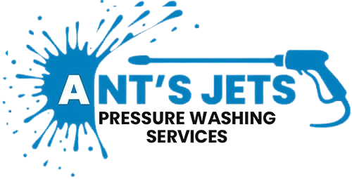 Ant’s Jets